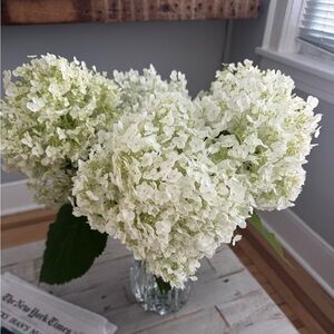 Meet your Posher, Mariana